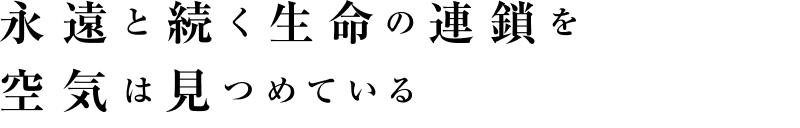 永遠と続く生命の連鎖を空気は見つめている